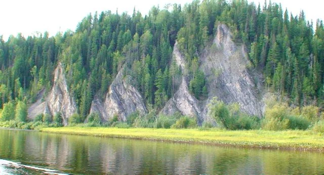DSC00377