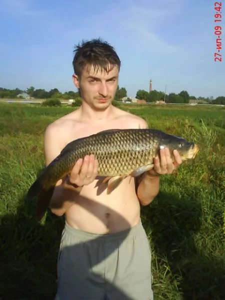 DSC00664
