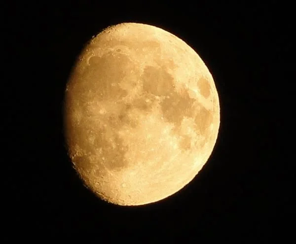 DSC00881