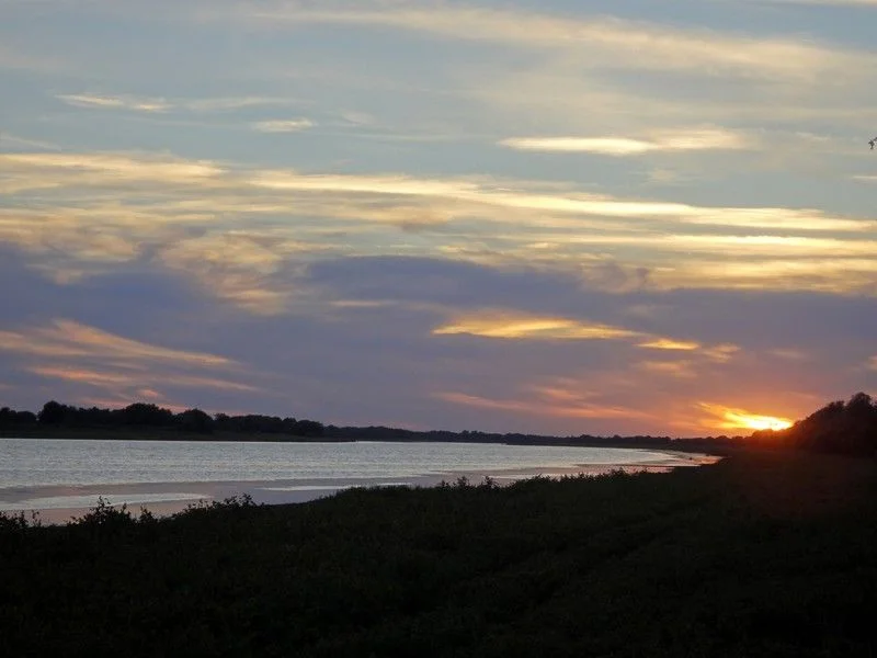 DSC00904