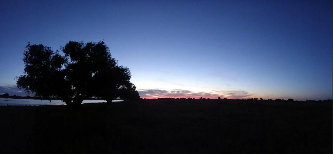 DSC00911