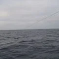 DSC01032