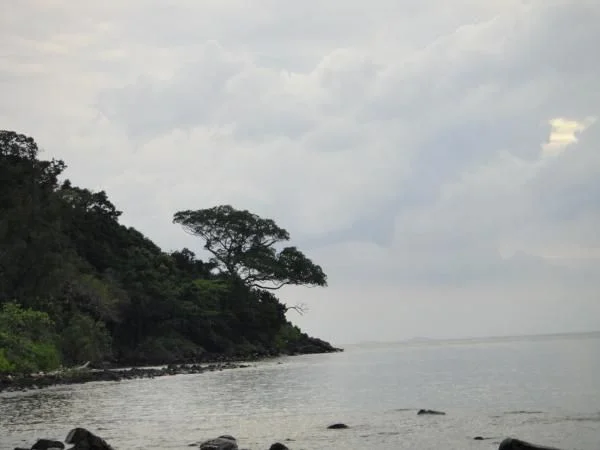 DSC01180