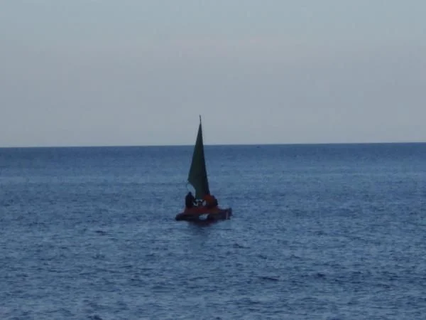DSC01771