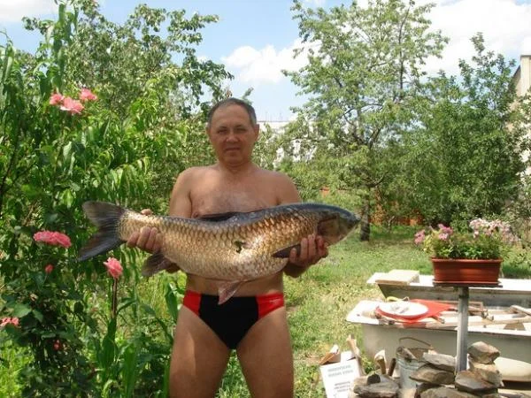 DSC02109