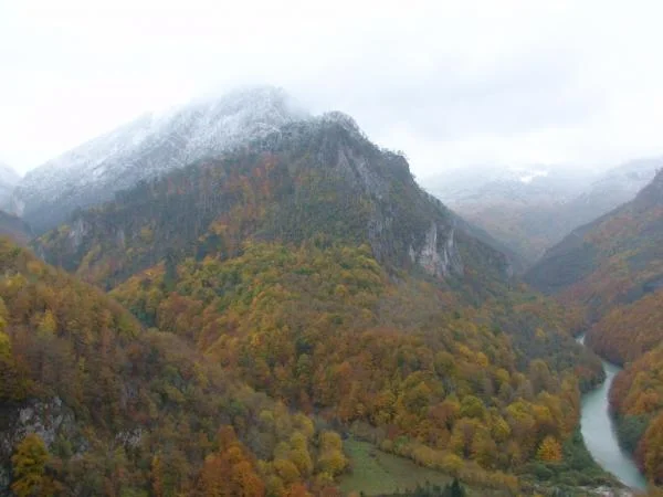 DSC02316Речка