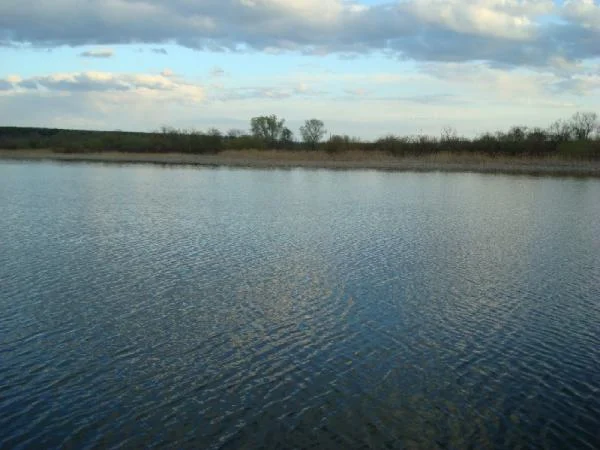 DSC02537