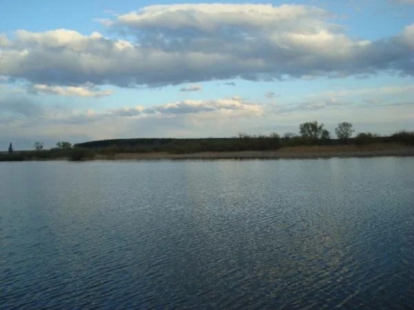 DSC02544