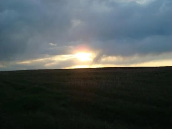DSC02559