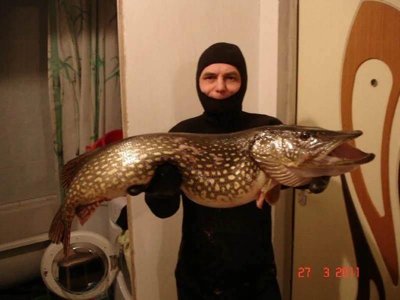 DSC02589