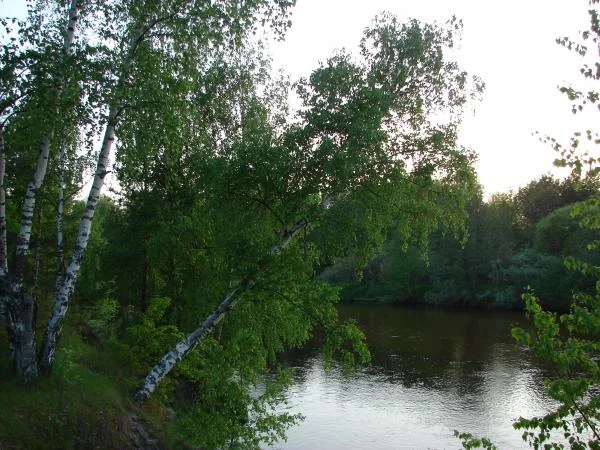 DSC02649