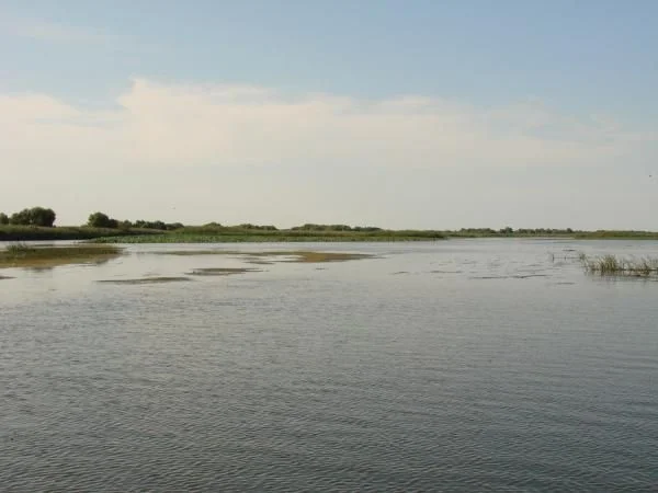 DSC03321