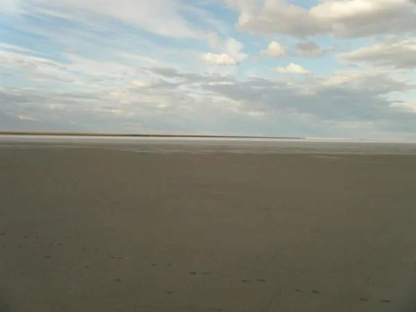 DSCF1081