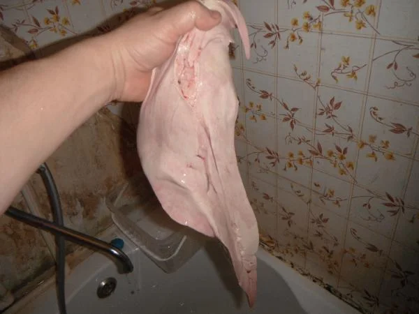 DSCF4099 налимья печень