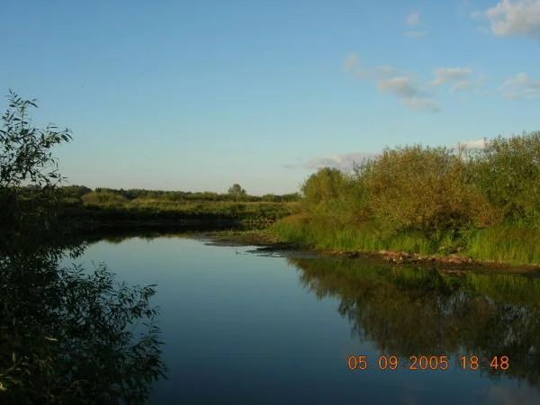 DSCN0060