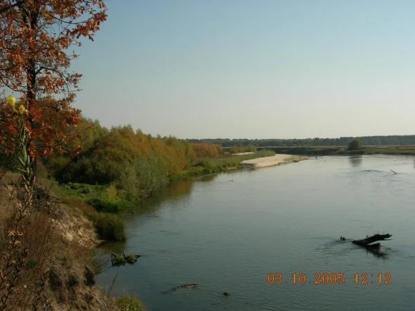 DSCN0126