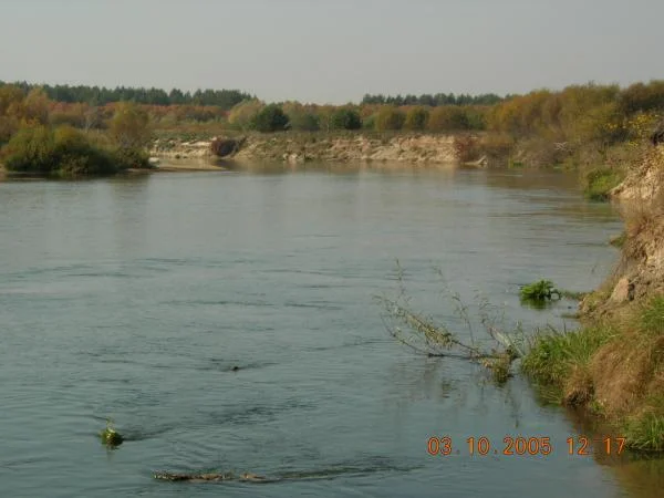 DSCN0136