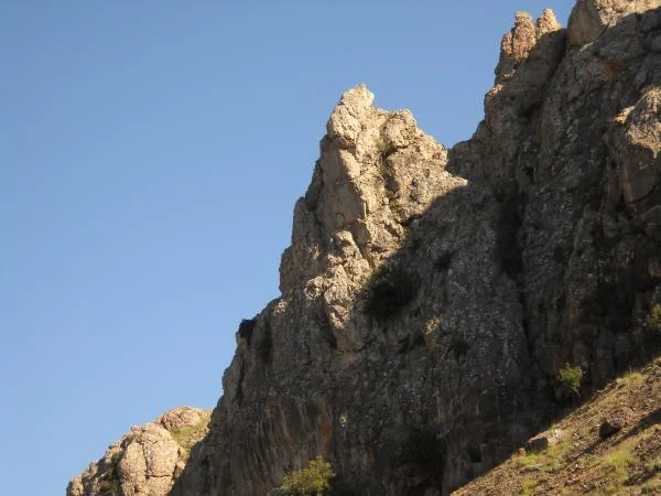 DSCN0614