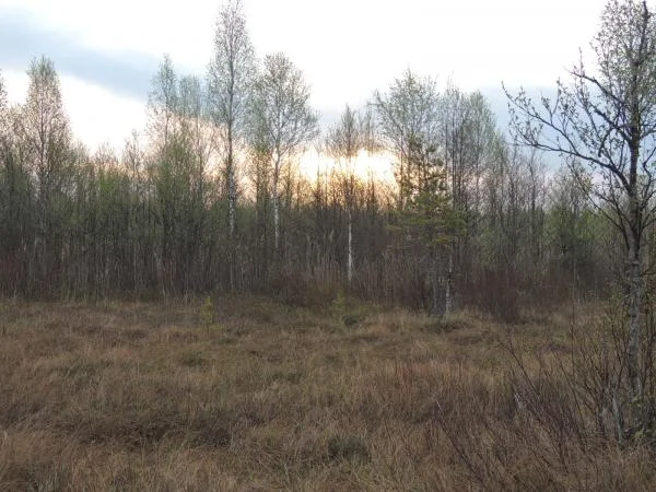 DSCN1068