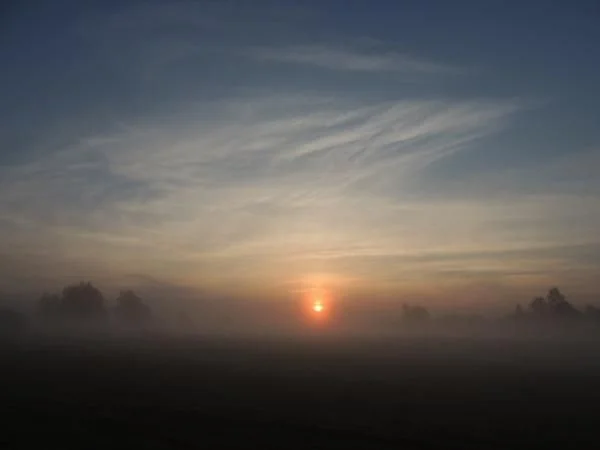 DSCN1238