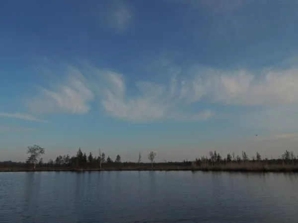 DSCN1267