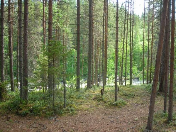 DSCN1374