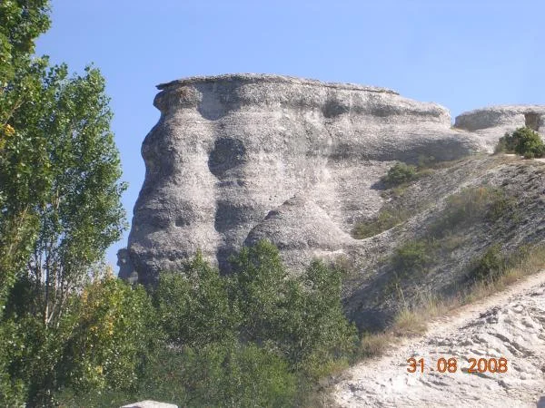 DSCN1538