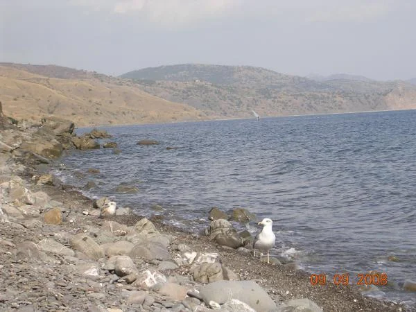 DSCN1679