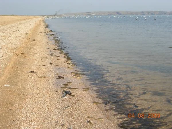 DSCN2137