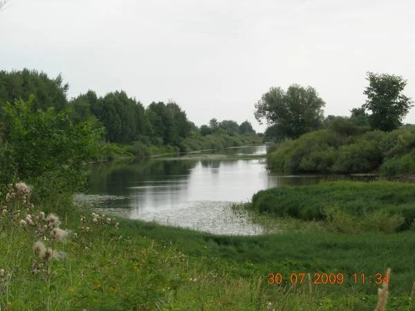 DSCN5607