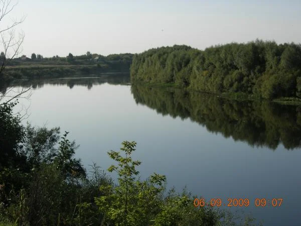 DSCN5781