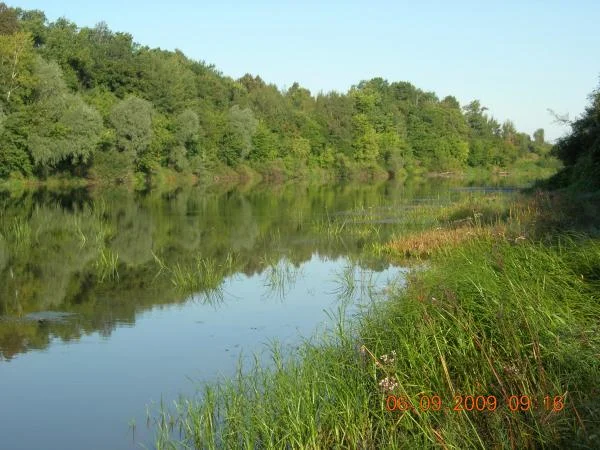 DSCN5784