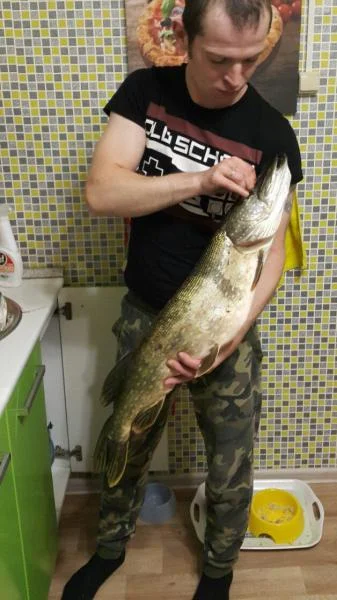 F86qFszPP8M