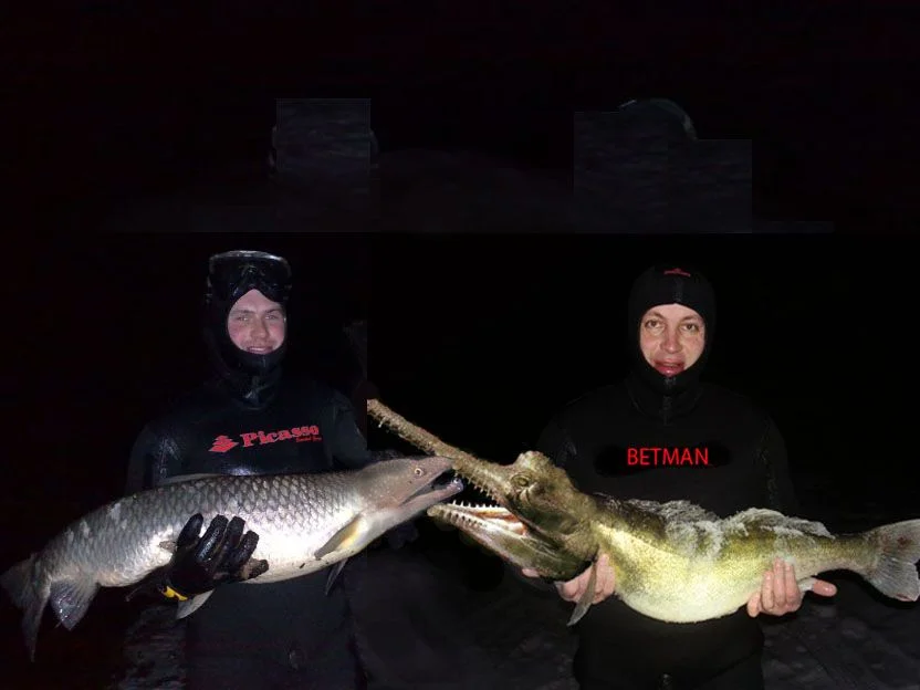 Фон для рыпп