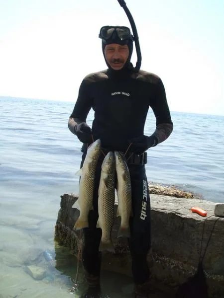 Геленджик 2007 275.1 net