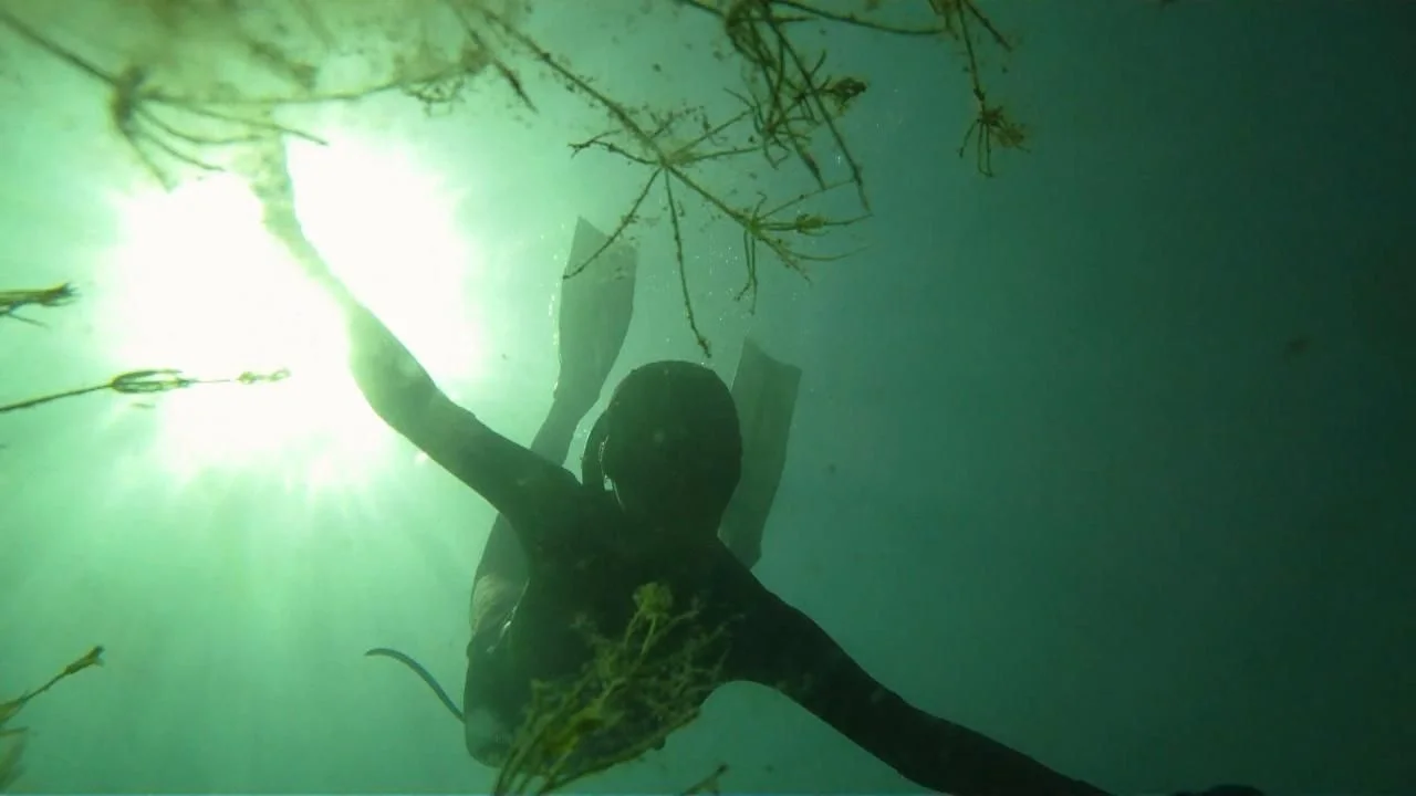 gopro