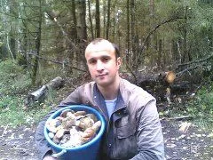 Грибочки