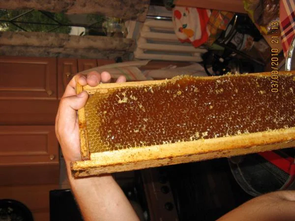 и такой