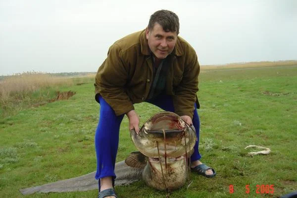 Их почти не осталось!