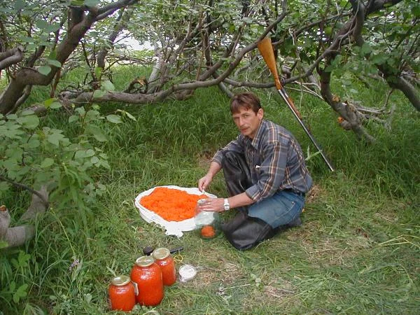Икра