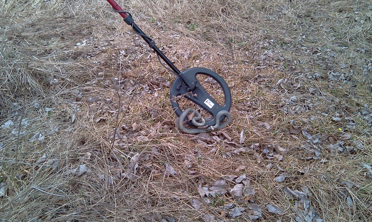 IMAG0040