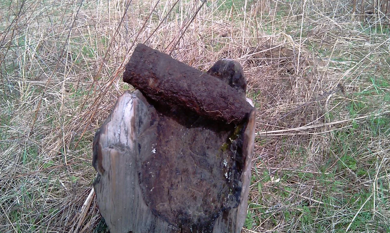 IMAG0059