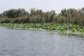 image (2)