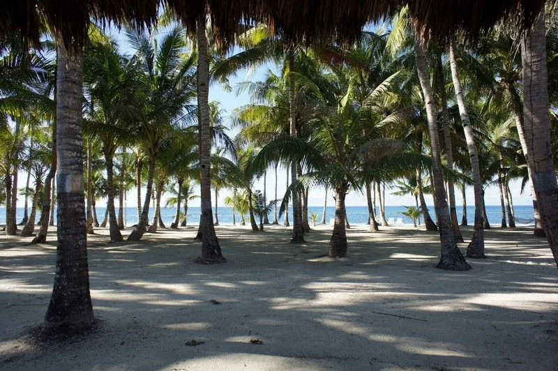 Image00014