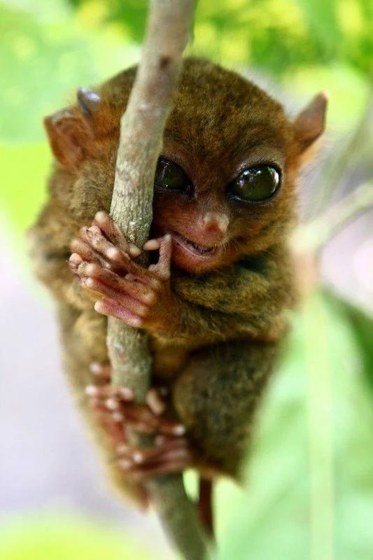 Image00071