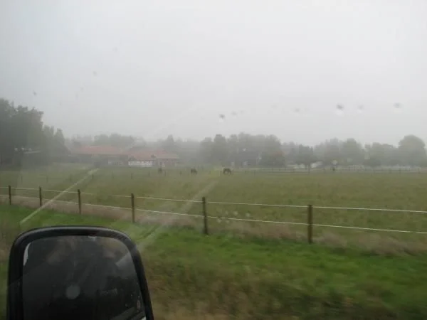 IMG 0013