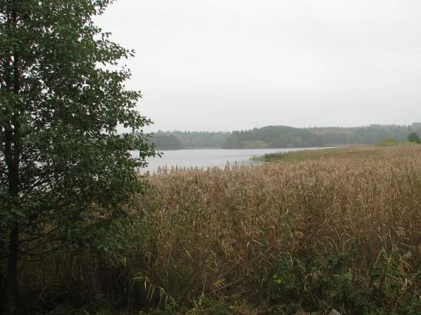 IMG 0016