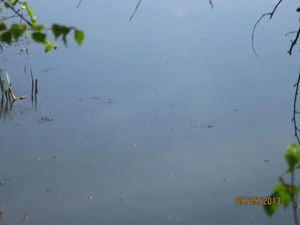 IMG 0405