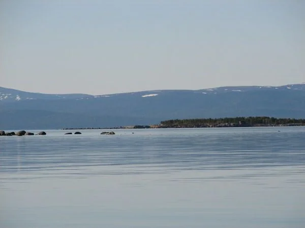 IMG 0415