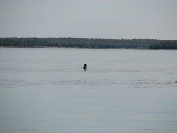 IMG 0427